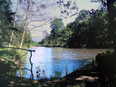 PARC DE SCHOPPENWIHR