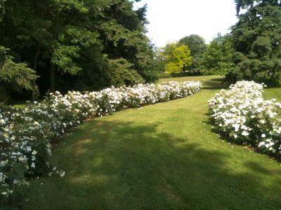 PARC DE L'AUNEAU