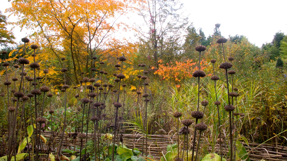 JARDIN D'ART ET D'ESSAIS