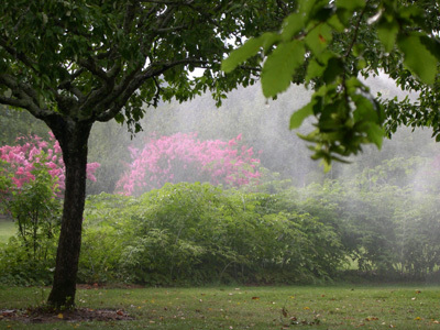 PARC BOTANIQUE DE NEUVIC