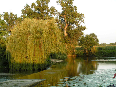 MOULIN DE COCUSSOTTE