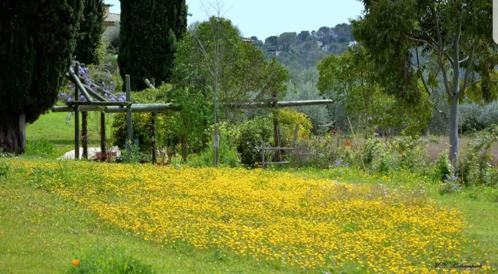 LES JARDINS DU MUSÉE INTERNATIONAL DE LA PARFUMERIE