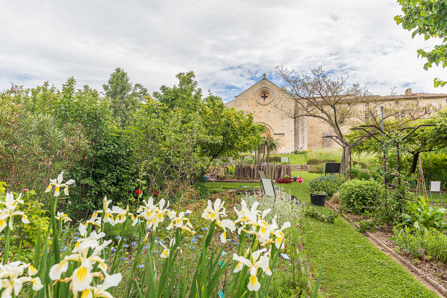 SALAGON, MUSÉE & JARDINS