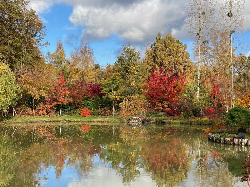 Jardin de Freville