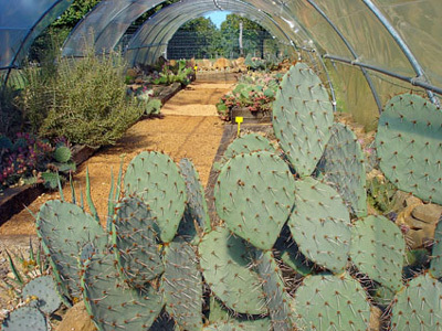 JARDIN DE LOSTANGES