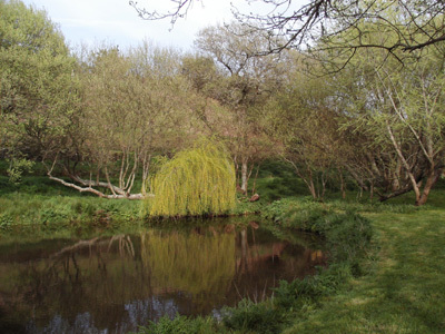 JARDIN LA BOULAYE