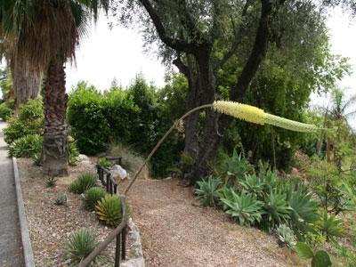 JARDIN BOTANIQUE DE NICE