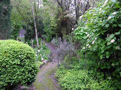 JARDIN BOTANIQUE DE SANNOIS DES PLANTES MÉDICINALES