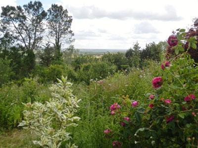 Au jardin de Montfleuri