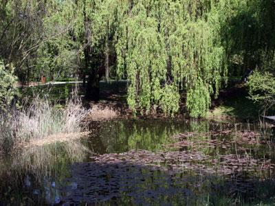 JARDIN BOTANIQUE DE L'UNIVERSITÉ DE STRASBOURG