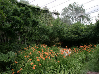 PARC LES OISEAUX