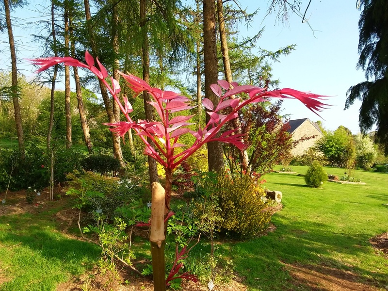 Les jardins de Brucan