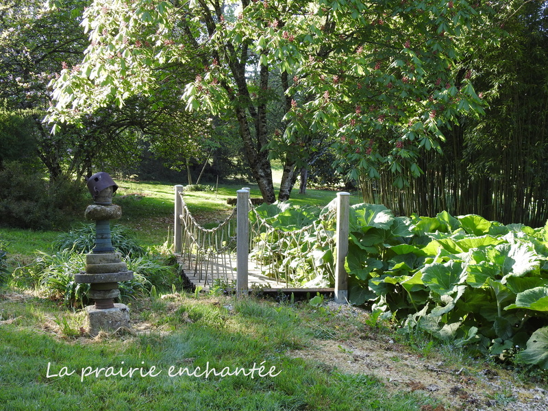 La prairie enchantée