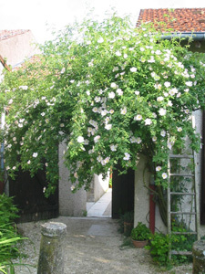 JARDIN NATUREL DE L'ECOMUSÉE D'HANNONVILLE SOUS LES CÔTES