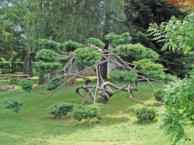 LES JARDINS D'AU-DELÀ