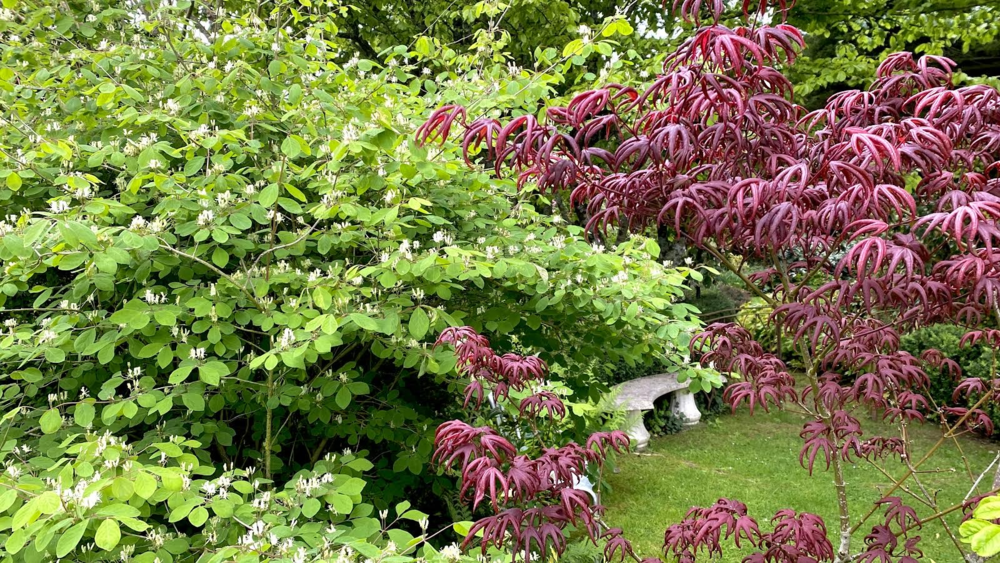 Jardin du coudray