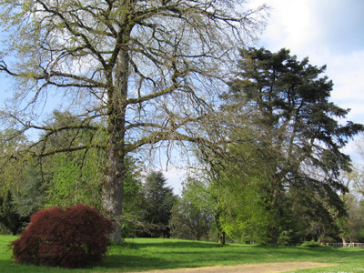 PARC DU CHÂTEAU DE LIGOURE