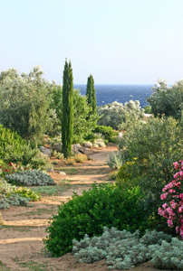 PARC DE SALECCIA