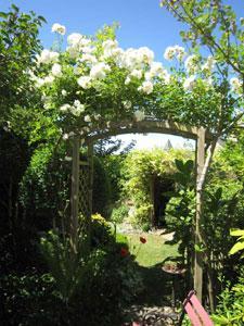 LE JARDIN DE LA GRANGE DES CARDEUX