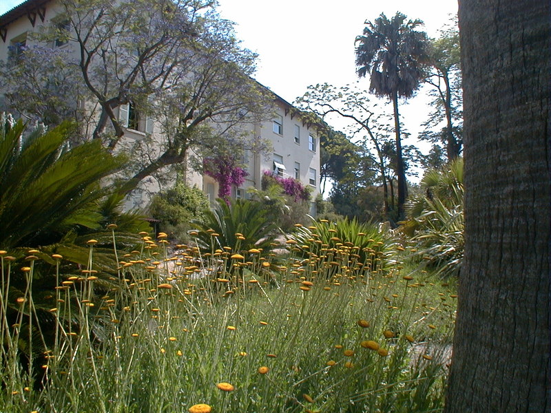 Jardin botanique de la Villa Thuret