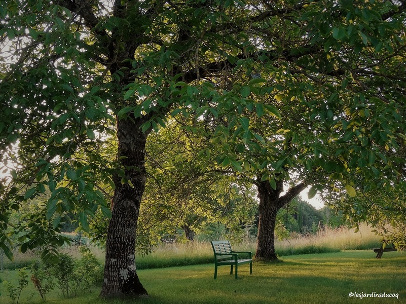 LES JARDINS DU COQ