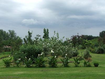 Senteurs Parc