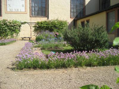 Jardin de l'Hôtel Dieu - Musée Greuze