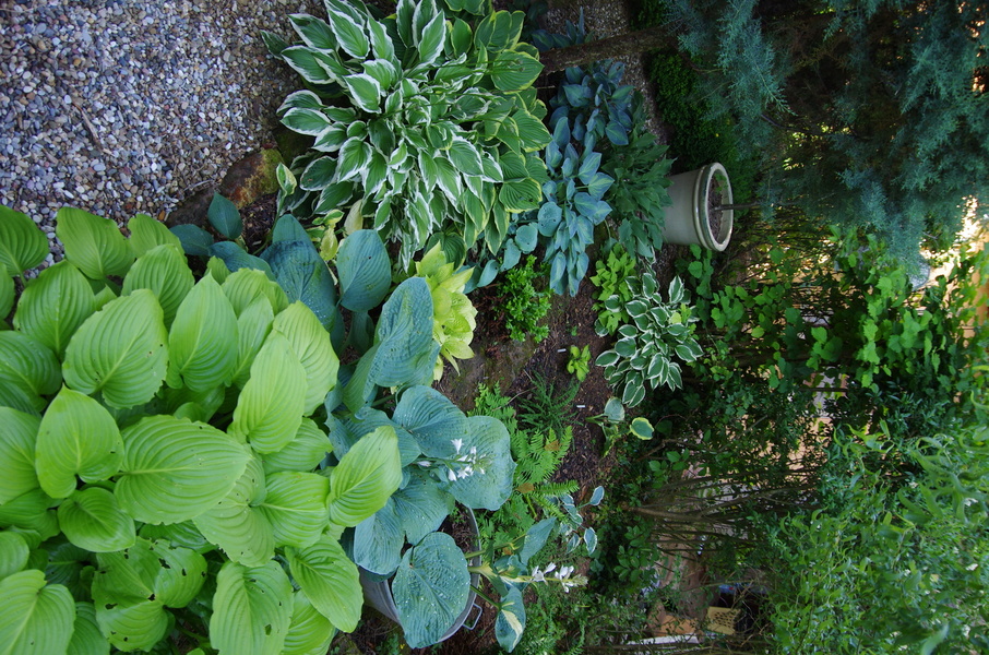 Le Jardin d'un Brocanteur