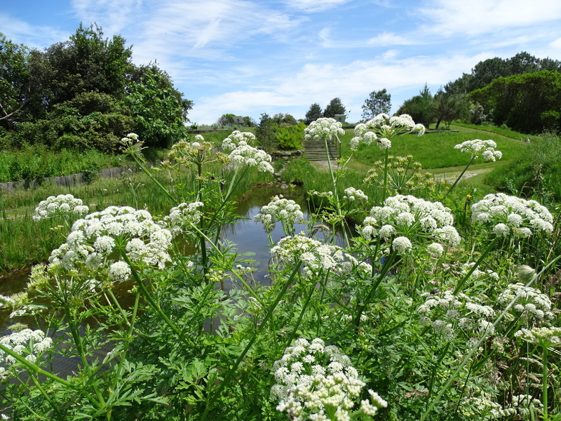 Jardin botanique littoral de Saint-Jean-de-Luz