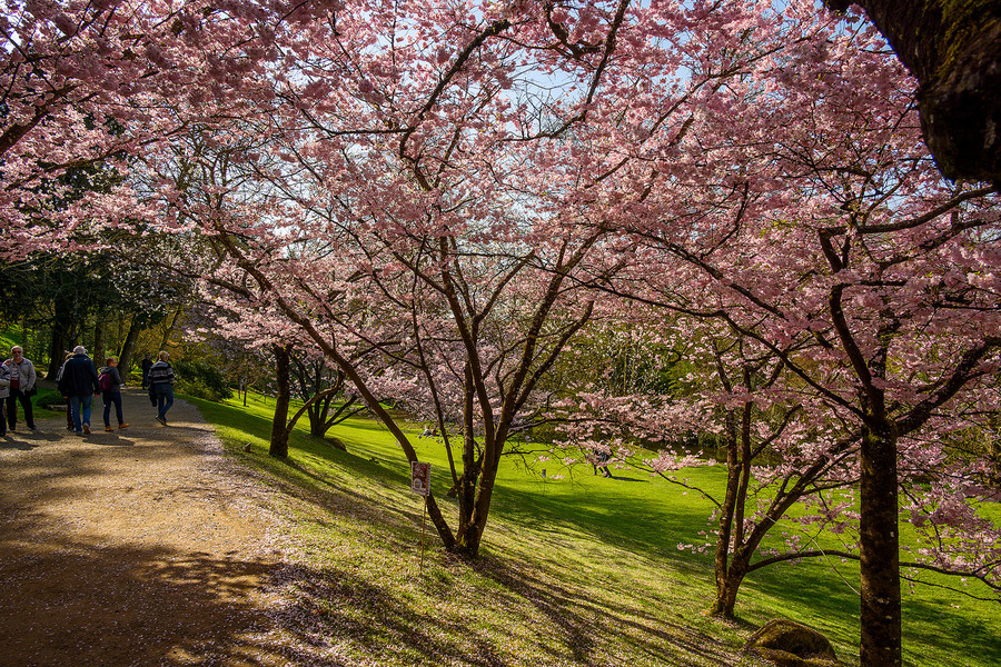 PARC ORIENTAL DE MAULÉVRIER