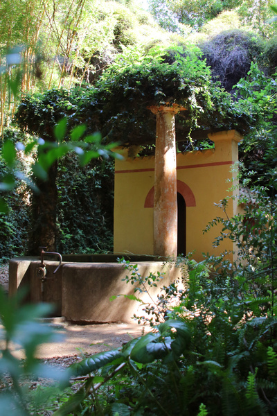 DOMAINE DU RAYOL, JARDIN DES MÉDITERRANÉES