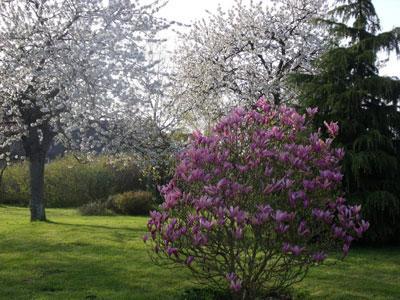 LE JARDIN DE MANOU