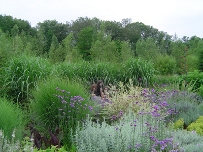 LE PARC AUX BAMBOUS