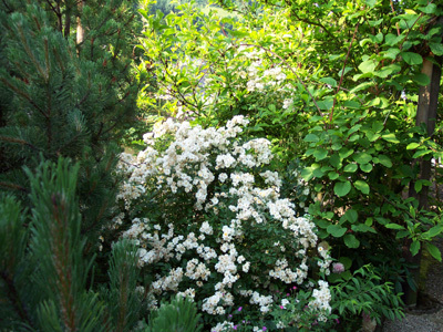 JARDIN DU FAUDÉ