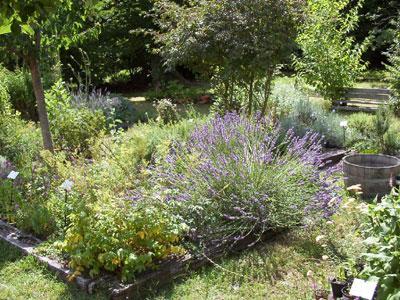 JARDIN MEDIEVAL DE PIERRAL