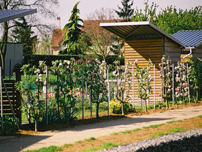 PARC DÉPARTEMENTAL DES LILAS