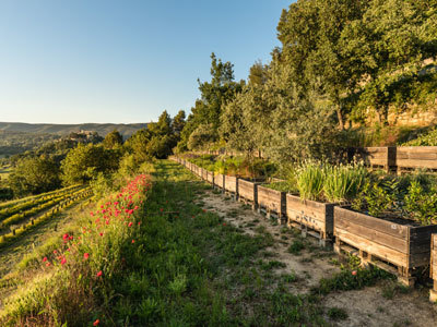 Jardin Botanique de La Citadelle