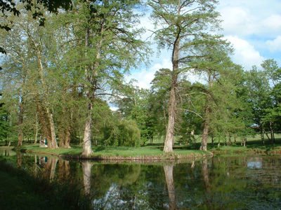 PARC DU CHÂTEAU DE LA BROSSE