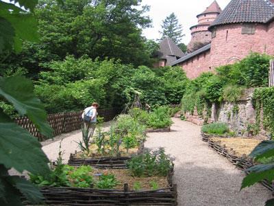 JARDIN MEDIEVAL DU CHÂTEAU DU HAUT-KOENIGSBOURG