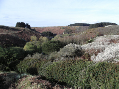 JARDIN LA BOULAYE