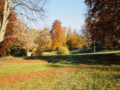 PARC DE LA FONTAINE AUX PIGEONS