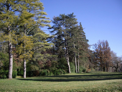 PARC DE L'ABBAYE DE LOC DIEU