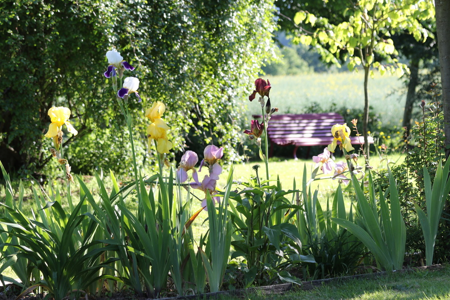 LE JARDIN DE MARIE