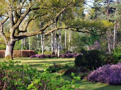 ARBORETUM DES GRANDES BRUYÈRES