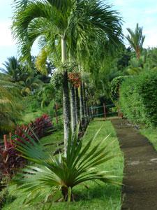 LE JARDINS DE BONNEVILLE