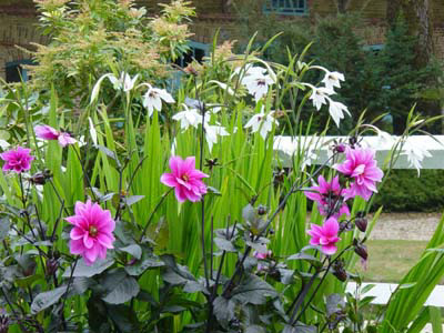 JARDIN FLORAL DU CHÂTEAU DE DIGEON