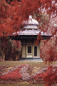 JARDIN DU PARC DE VITRÉ