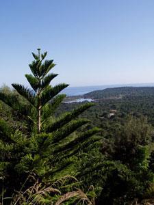 U Giardinu di l'Isuli