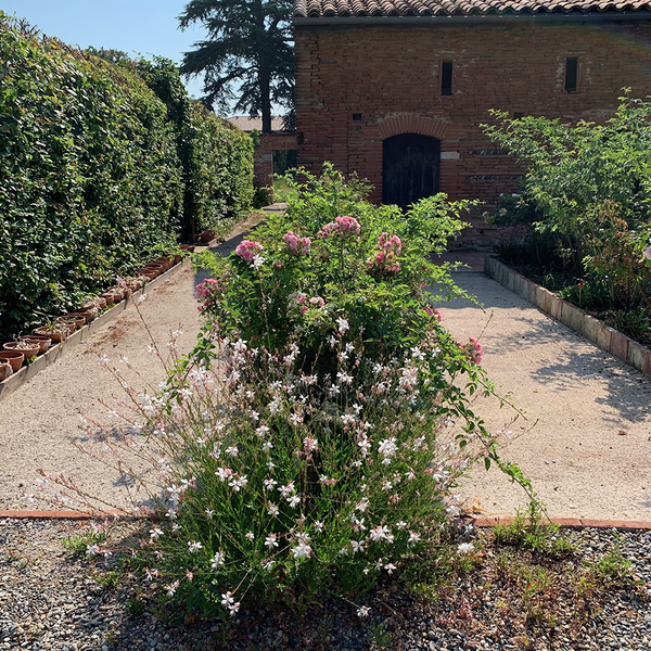 Parc et jardins du château de Fonbeauzard