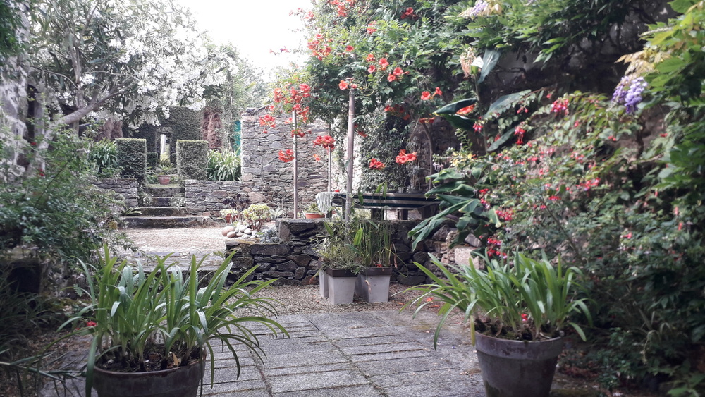 Un jardin japonais pour le thé, à Tréguier